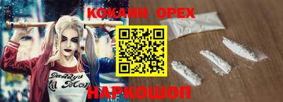 2c-b Кингисепп