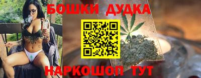 2c-b Кингисепп