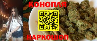 2c-b Кингисепп