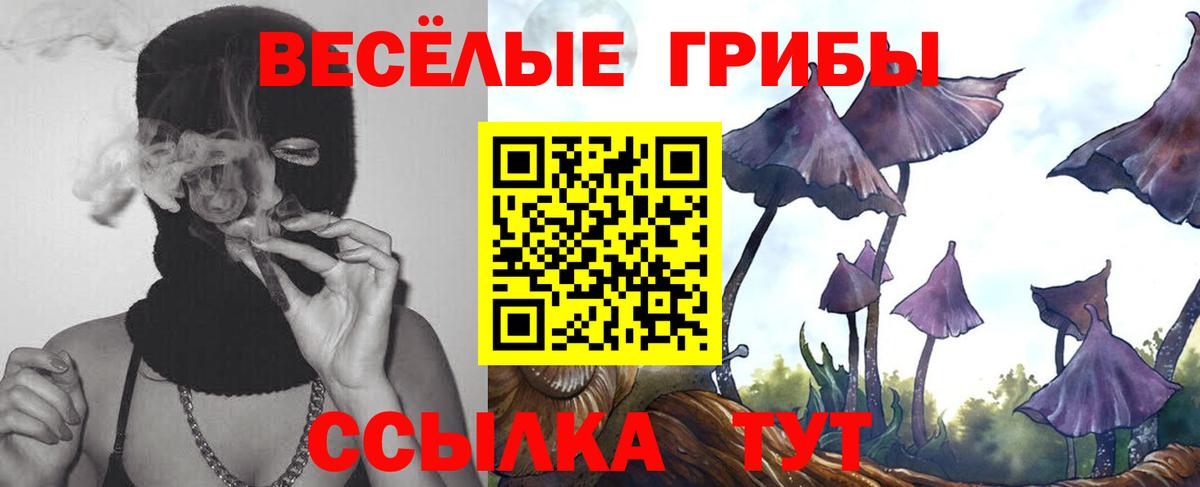 Бошки Шишки  ГАШ  Вход с VPN  Меф кристаллы  Кимовск  КОКАИН  Альфа ПВП СОЛЬ кристаллы  MDMA  Наркошоп  Бошки Шишки 